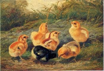 unknow artist chickens 196 Spain oil painting art